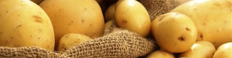 قزلجه: برای کنترل بازار سیب‌زمینی از سران سه قوه مجوز گرفتیم