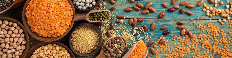 دلیل افزایش قیمت حبوبات در روزهای اخیر/ مصرف سرانه کشور کمتر از میانگین جهانی