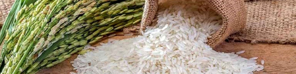 دلایل التهاب در بازار برنج تشریح شد/ سه شوک به برنج