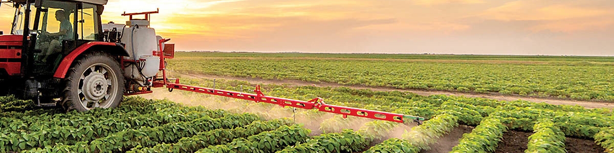 سهم ۸.۳ درصدی بخش کشاورزی در تولید ناخالص داخلی