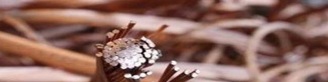 مس به پرواز درآمد