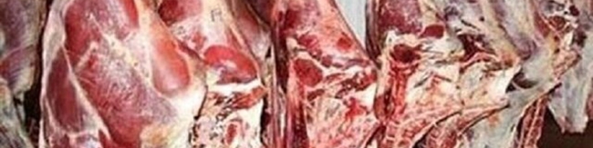 تأمین نیاز گوشت و مرغ در آستانه ماه رمضان/ تولید گوشت قرمز افزایش یافته است