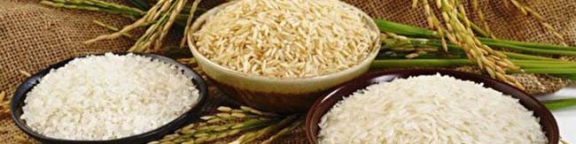 تخصیص ۷۰ هزار تن برنج خارجی به فروشگاه‌ها برای تعدیل قیمت