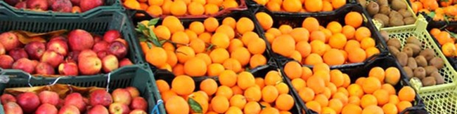 آغاز عرضه میوه تنظیم بازار نوروزی از ۲۰ اسفند/ نظارت دولت بر تدارک و توزیع اقلام