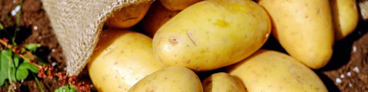 واردات ۵۰ هزار تن سیب زمینی؛ کاهش قیمت در راه است؟