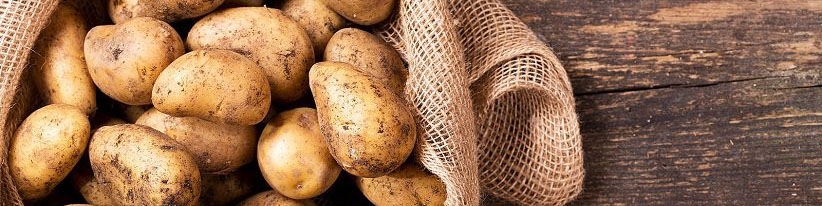 سیب زمینی‌های وارداتی محصول ایران هستند!