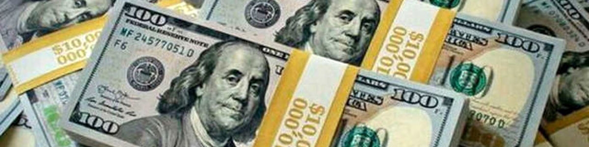 بازار رسمی ارز در سال ۱۴۰۴ حتما ثبات خواهد داشت