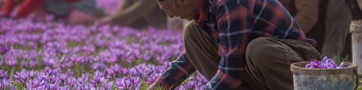 معاملات زعفران در هفته اول بهار، گل کرد