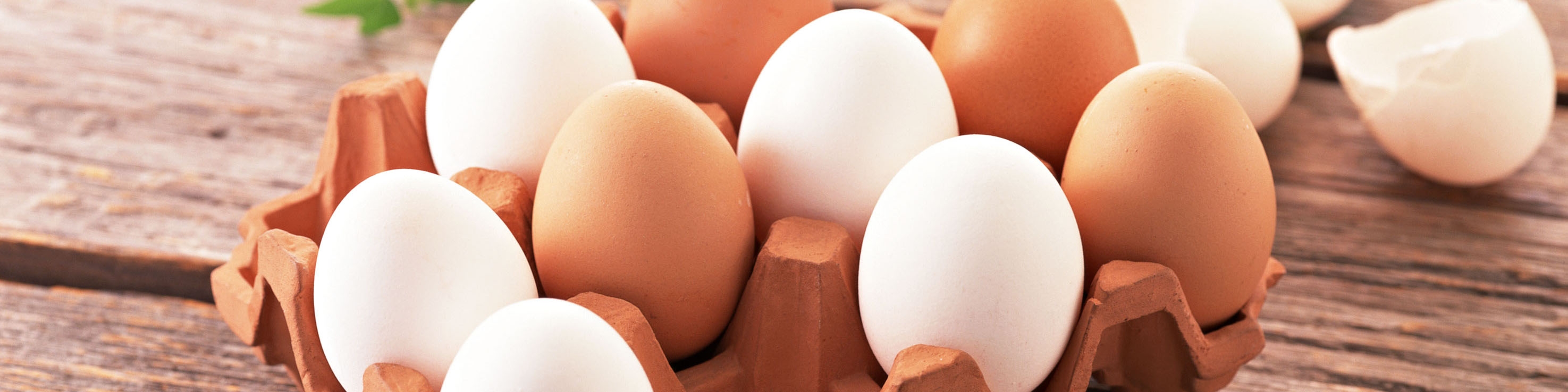 کاهش ۵۰ درصدی قیمت تخم‌مرغ / افت ۳۰ درصدی صادرات به عراق