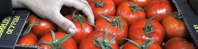 لغو ممنوعیت واردات محصولات کشاورزی ایران به عراق/ فرصتی نو برای توسعه صادرات