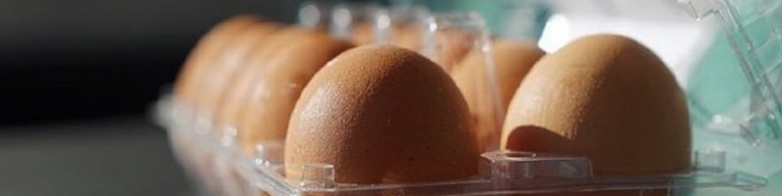 اصلاح قیمت تخم‌مرغ با پیشنهاد حدود ۳۰ درصد افزایش