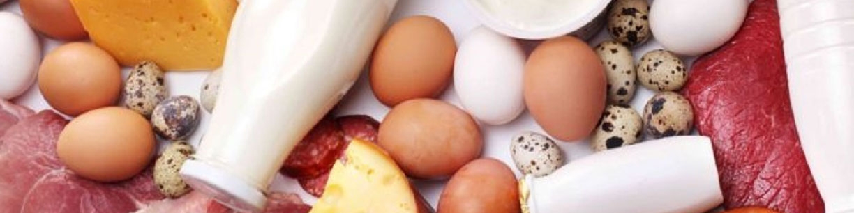 قیمت مصوب مرغ، شیر و تخم مرغ چه زمانی اعلام می‌شود؟