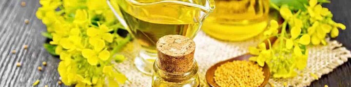 پیش‌بینی خرید تضمینی  ۳۰۰ هزار تن کلزا در سال جاری