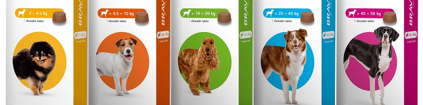 همه چیز درباره قرص براوکتو: طریقه مصرف، عوارض و نکات مهم