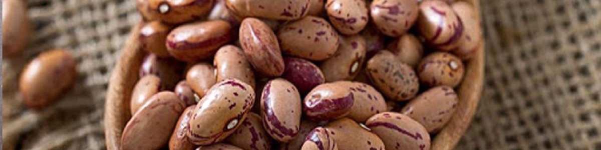 دلایل گرانی غیرعادی قیمت لوبیا چیتی/ «حباب» به حبوبات هم رسید!