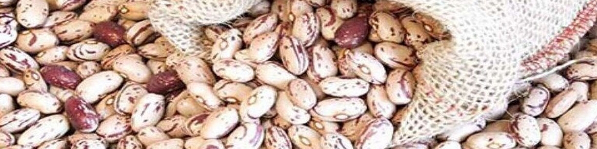 فروش هرکیلو لوبیا چیتی با قیمت ۵۰۰ هزارتومان کاملا تخلف است