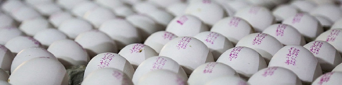 قیمت منطقی هر عدد تخم مرغ ۵ هزار و ۵۰۰ تومان