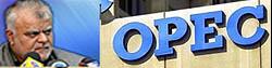 اختلاف نفتی با عربستان نداریم/ سقف تولید نفت اوپک ثابت می‌ماند