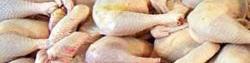 روند طولانی ترخیص نهاده های طیور در گمرک ، قیمت مرغ را افزایش داد
