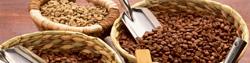 بیشترین سهم کاهش قیمت مواد غذایی در گرو دانه قهوه