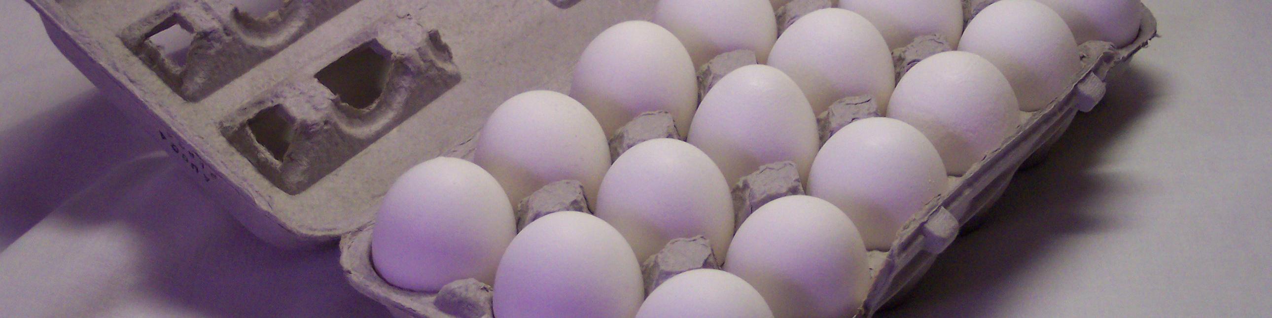 بهای تخم مرغ روند کاهشی گرفت/ مرغداران کم اظهاری می‌کنند