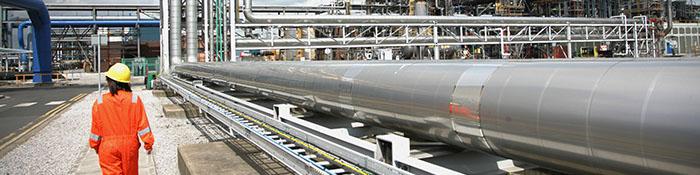 افزایش قیمت پتروشیمی‌ها فقط در یک محصول