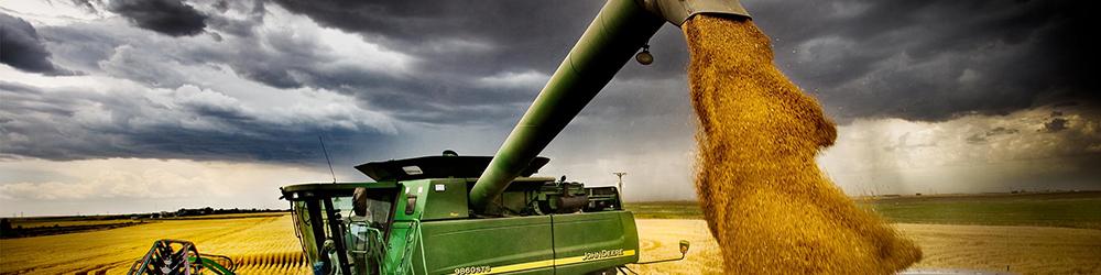 سازمان جهانی خواربار: روند نزولی قیمت مواد غذایی در بازارهای جهان ادامه دارد