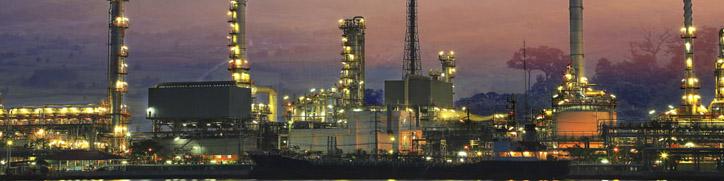 نرخ خوراک، اصلی‌ترین محور جذب سرمایه