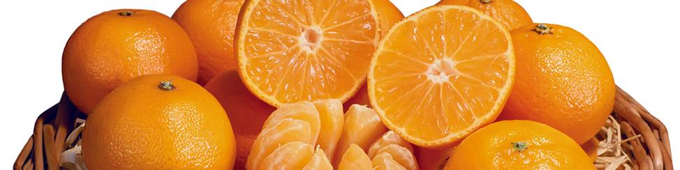 پرتقال با گرانی ۱۵۶ درصدی رکورد شکست