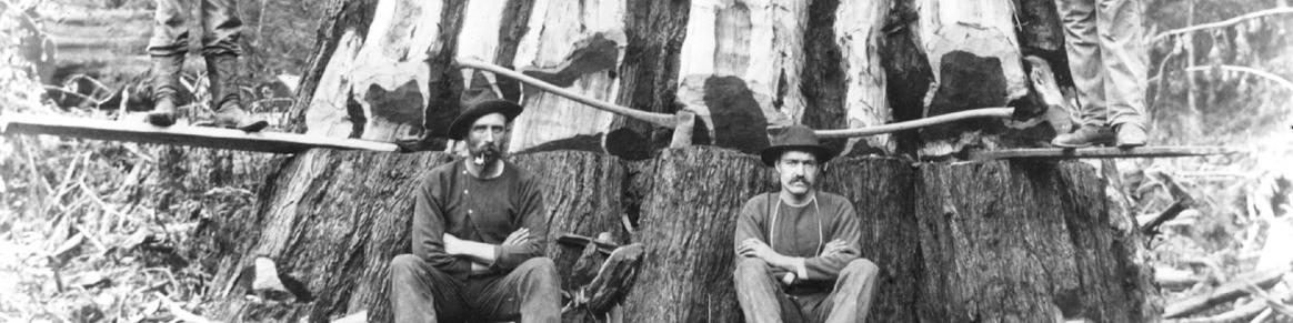 کاهش اشتغال در بخشهای معدن و جنگلداری در آمریکا