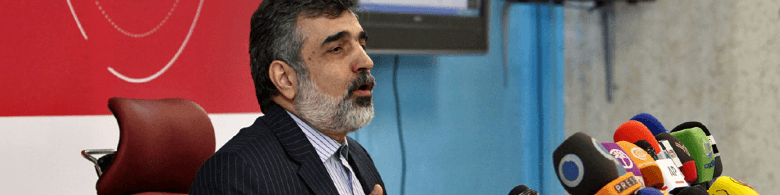 کمالوندی:برخی متاسفانه از پروتکل الحاقی تابوسازی می‌کنند/ پیشنهاد مذاکره با آمریکایی‌ها را صالحی داد نه احمدی‌نژاد