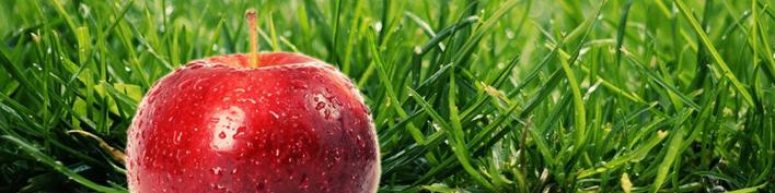 تولید و صادرات جهانی سیب درختی  در سال جاری