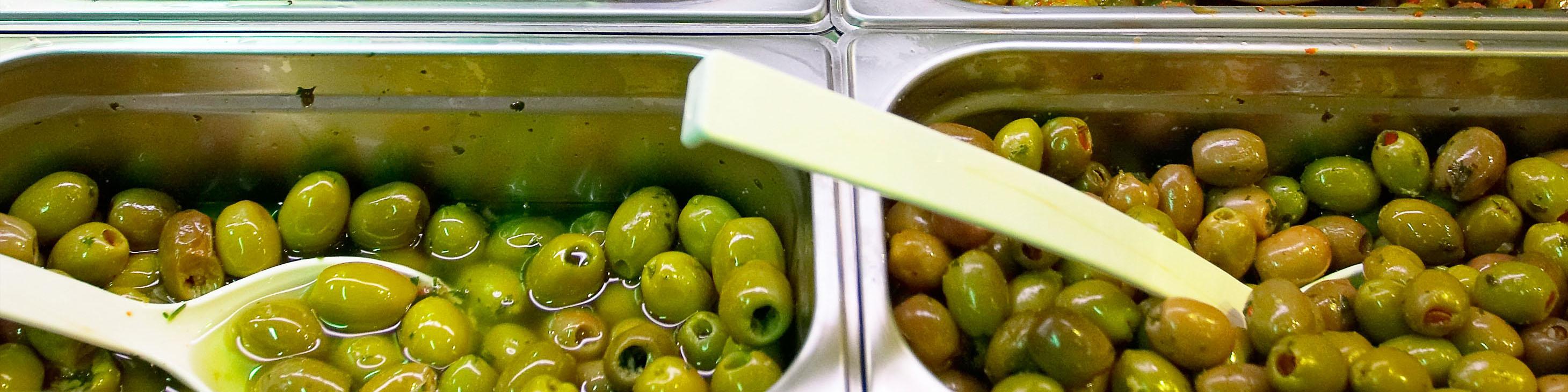 آفت مگس تولید زیتون را تحت تاثیر قرار داده‌است