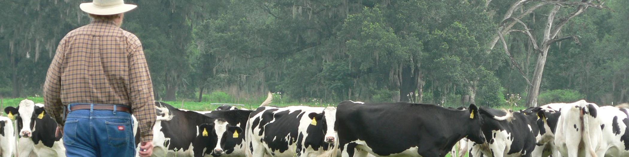 دورنمای بازار جهانی لبنیات در سال 2015