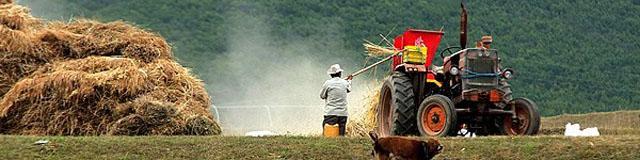 تحلیلی بر وضع عوارض 150تومانی گندم وارداتی