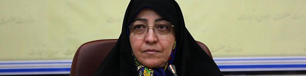 حمایت دولت از بخش خصوصی در جهت کاهش خام‌فروشی