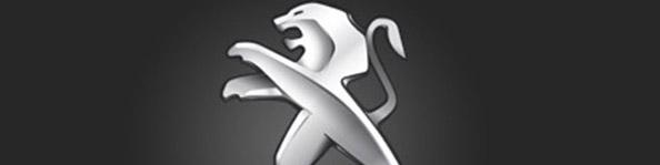 دو فرانسوی جدید میهمان ایران خودرو و سایپا