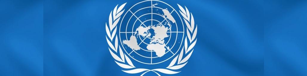 امنیت انسانی به حال فکر می‌کند، توسعه پایدار به آینده