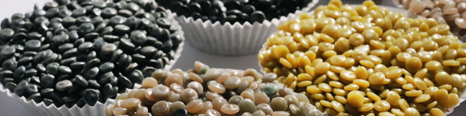 فشار بازار چین و اروپا بر پلی اتیلن