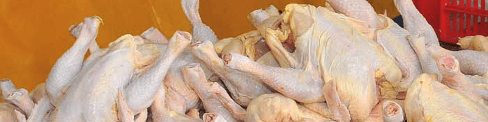 چرایی کاهش قیمت مرغ