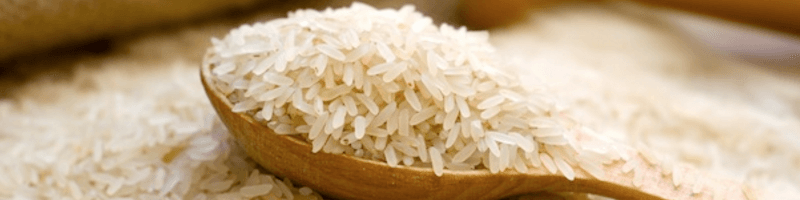 واردات ۱۶ میلیون دلاری برنج از آمریکا به سفارش دولت