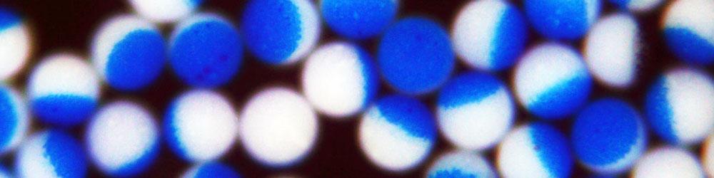 پلی استایرن‌ها گران و پلی پروپیلن‌ها ارزان شدند