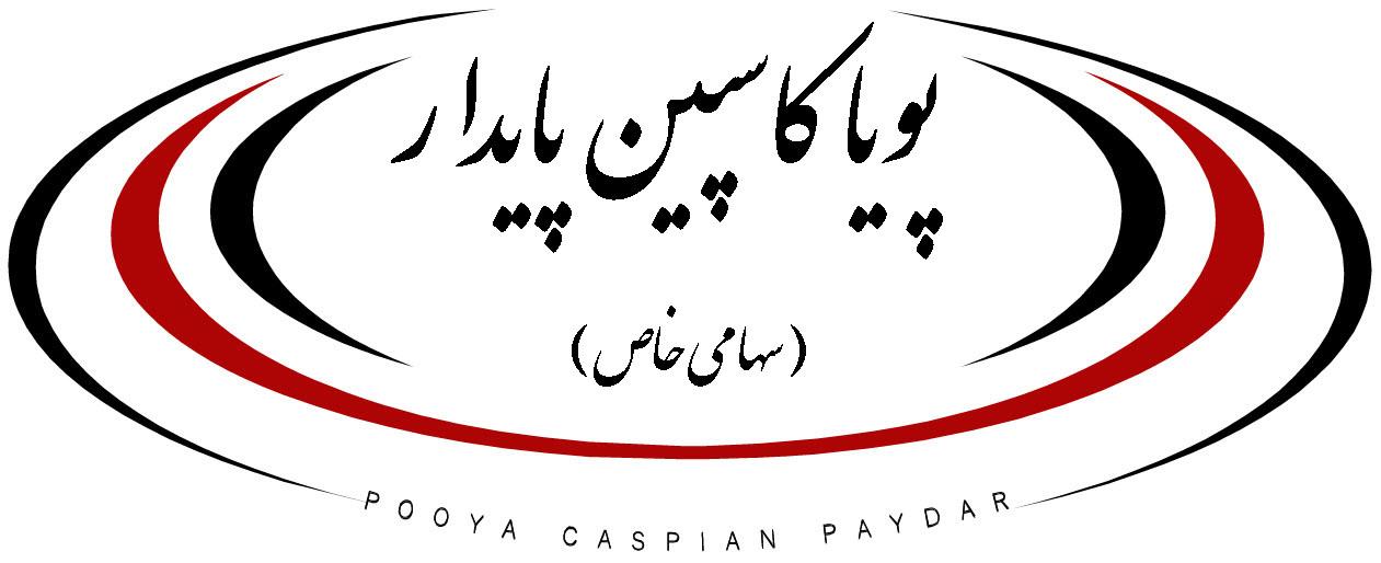 پویا کاسپین پایدار
