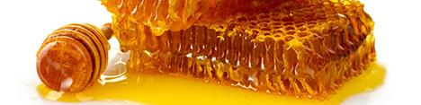 ایران هفتمین تولیدکننده عسل در دنیا