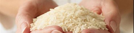 بکارگیری فناوریهای جدید در تولید برنج کشور