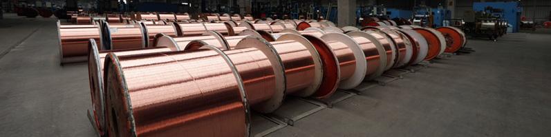 بیشتر استان‌های ایران میزبان فلز سرخ