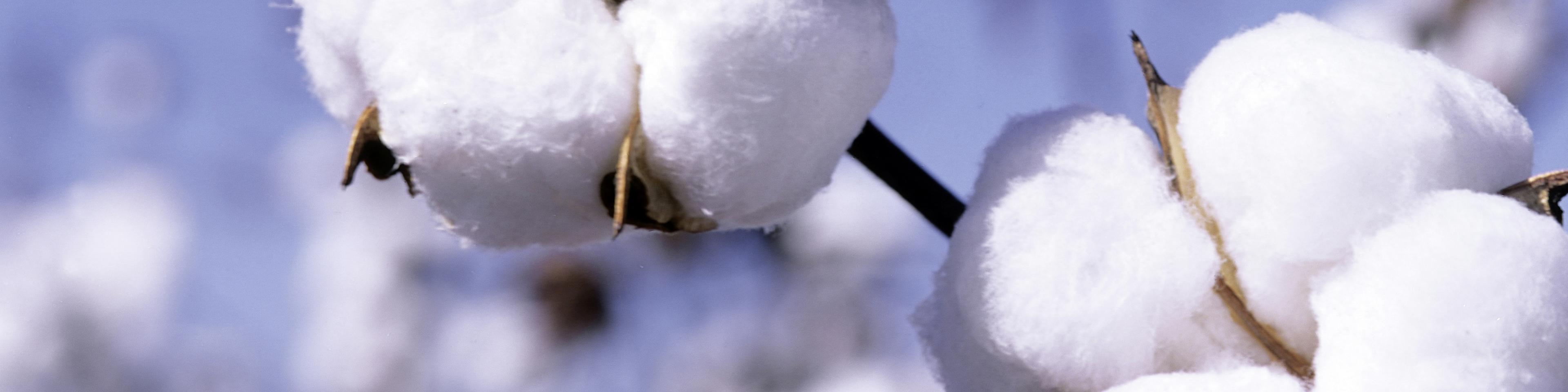 راهکار منطقی برای نجات واحدهای ریسندگی