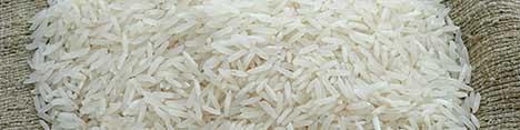 رشد ۸ درصدی تولید برنج