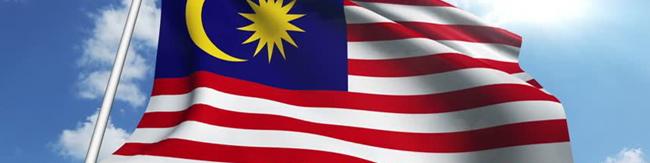 مدل مالزی در جذب منابع