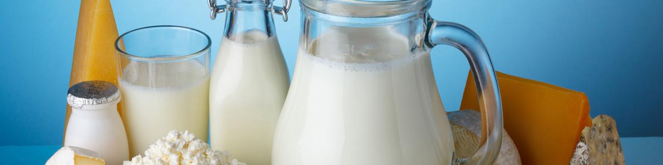 چه کشورهایی لبنیات ایرانی می‌خورند؟